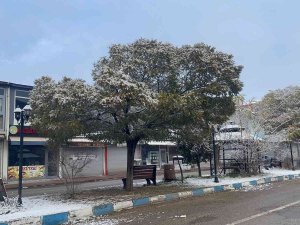 Muradiye’de Kar Yağışı