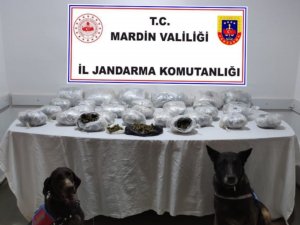 Mardin’de Ele Geçirilen 22 Kilo Uyuşturucuya 3 Tutuklama