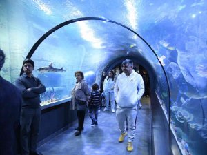 Tünel Akvaryum’un Ziyaretçi Sayısı 200 Bini Geçti