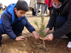 Yetimler Babaları İçin Fidan Dikti