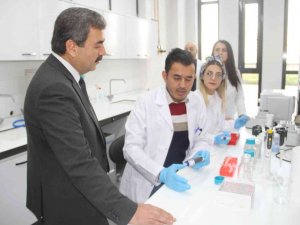 Hızlı Yükselişiyle Dikkat Çekiyordu, Kapılarını Basına Açtı