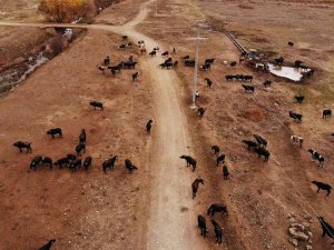 Cumhurbaşkanı Açıkladı İlçe Halkı Daha Fazla Üretim İçin Hızlandı