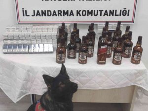 Jandarmadan Kaçak Alkol Ve Sigara Operasyonu