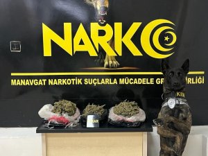 Narkotik Köpek Pars’tan Uyuşturucuya Geçit Yok