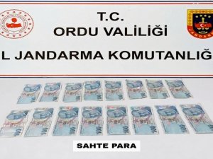Ordu’da Sahte Para Operasyonu