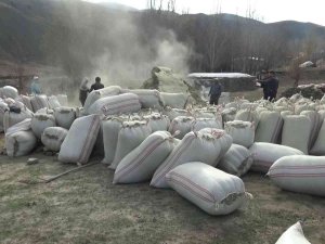 Muş’ta İhtiyaç Fazlası Saman Çevre İllere Gönderiliyor