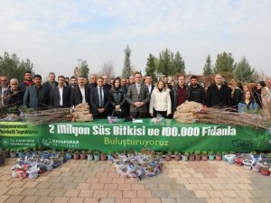 Kayapınar Belediyesi 36 Bin Fidan Dağıttı