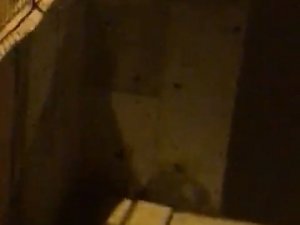 Tunceli’de Köpeklerden Kaçan Dağ Keçisi Bina Bahçesine Sığındı