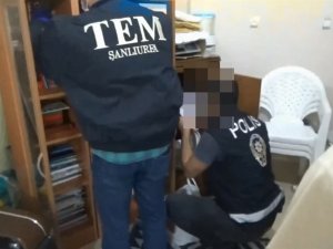 Şanlıurfa’da Terör Operasyonu: 1 Gözaltı