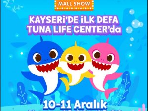 Kayseri’de İ̇lk Kez ’Baby Shark’ Tuna Life Center’de