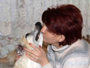 Kansere Yakalanan Sokak Köpeğine Kemoterapi Uygulandı