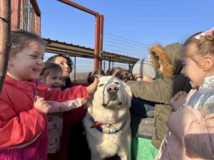 Anneleri İle Aynı Çatı Altında Eğitim Alıyorlar