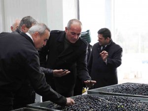 Gemlik Belediyesi’nden Bilimsel Tarım Hamlesi
