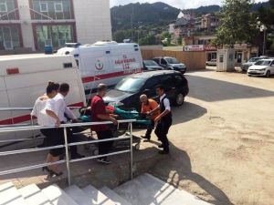 Fatsa’da Trafik Kazası: 8 Yaralı