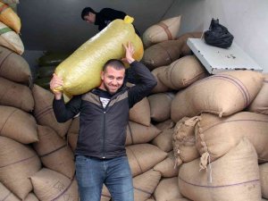 Fındık Fiyatı Yükselişini Sürdürüyor