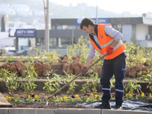 Bodrum’da Peyzaj Çalışmaları Devam Ediyor