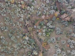 Efeler’in Ekipleri Kozalaklı Zeytinlik Yolunu Açtı