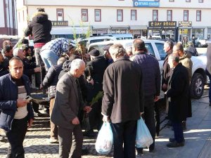 Gevaş’ta Vatandaşlara Fidan Dağıtımı