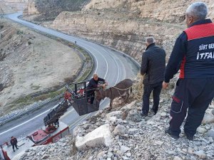 Siirt’te 5 Gündür Kayalıklarda Mahsur Kalan Eşek İtfaiye Ekiplerince Kurtarıldı
