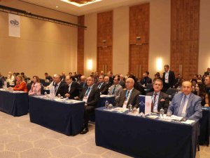 Kuru Meyve Sektörü, Ar-ge Ve İnovasyona Yatırım Yapıyor