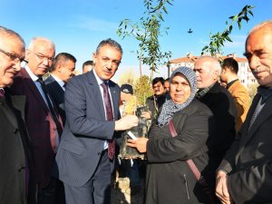 Karaman’da Çiftçilere 80 Bin Adet Fidan Dağıtıldı