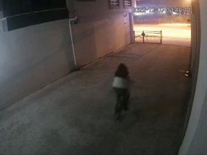 Kendi Bisikleti Gibi Aldı Gitti