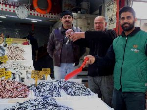 Palamuda Doyan Vatandaş Hamsiye Yöneldi