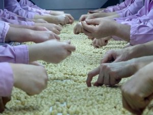 Düzce’den On Ayda 17 Bin 254 Ton 581 Kilo Fındık İhraç Edildi