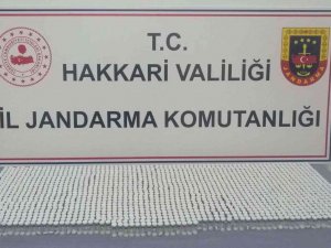 Yüksekova’da Bin 690 Adet Kaçak Botoks Malzemesi Ele Geçirildi