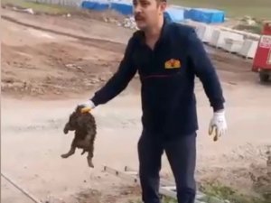 Osmaniye’de Kanalizasyona Düşen Köpek Kurtarıldı