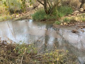 Gediz Nehri İçin Tehlike Çanları Çalıyor