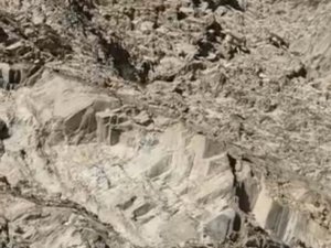 Hakkari’de Dağ Keçilerinin Popülasyonu Arttı