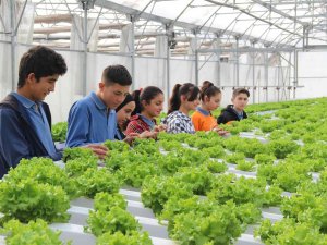 Ziraat Fakültesi Gibi Lise: Öğreniyor, Üretiyor Ve Kazanıyorlar