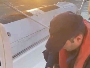 Şile’de Martıya Hayat Kurtaran Müdahale