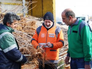 Başkan Çolakbayrakdar; “Kocasinan’da Yemyeşil Bir Bahar Olacak!”