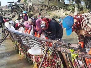 Yarım Metre Suda Turp İşçisi Kadınların Ekmek Mücadelesi