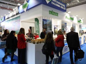 Düzce Fuara Bambaşka Bir Hava Kattı