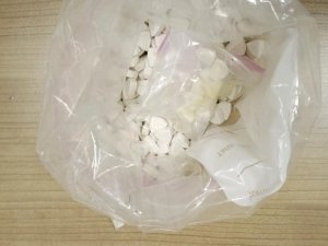 Van’da 475 Adet Ecstasy Hap Ele Geçirildi