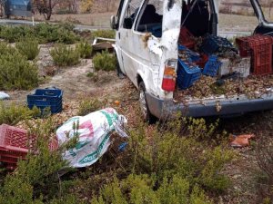 Üzüm Yüklü Minibüsteki Aile Ölümden Döndü; 8 Yaralı