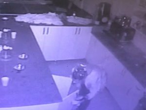 Kamerayı Fark Eden Hırsız Yüzünü Şeffaf Poşetle Gizlemeye Çalıştı