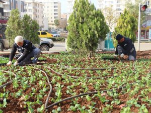 Kilis’te Sokaklara Kış Bakımı