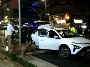 Polis Uyuşturucu Aradı, Sokak Köpekleri Seyretti