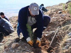 Selçuklu’da Yeşil Dokuya 22 Bin 500 Yeni Fidan Daha Kazandırıldı