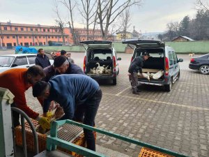 Eflani’de İlk Kaz Satışı Yapıldı