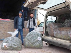 Konya Büyükşehir’in Üreticiye Lavanta Fidesi Desteği Sürüyor