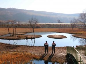 Bingöl’de Haydi̇ Görev Başında