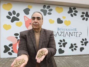 Gastronomi Lezzetleri Sokak Hayvanlarına Mama Olarak Sunuyor