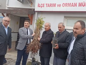90 Üreticiye 22 Bin 500 Adet Sumak Fidanı Dağıtıldı