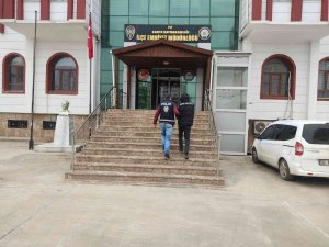 Ceviz Ve Bisiklet Hırsızı Tutuklandı