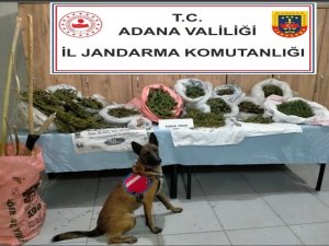 Adana’da Çiftlik Evinde Uyuşturucu Ele Geçirildi